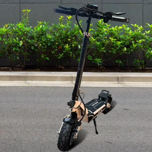 Scooter eléctrico H18